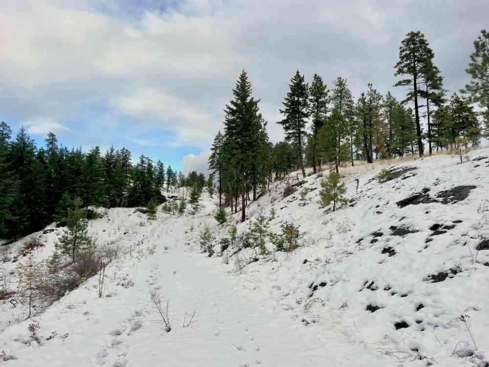 Hike Stephens Coyote Ridge (Kelowna)