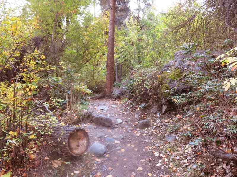 Bear Creek: Canyon Rim Trail
